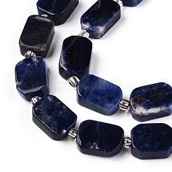 Natural Sodalite Beads Strands&nbsp;G-T138-09