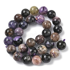 Natural Charoite Beads Strands&nbsp;G-C270-O03-12