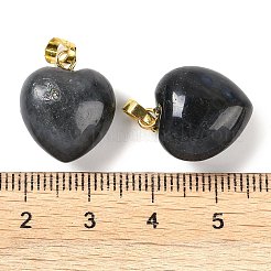 Natural Labradorite Pendants&nbsp;G-J386-H15-G