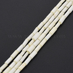 Glass Silk Stain Style Beads Strands&nbsp;GLAA-N047-001B-02