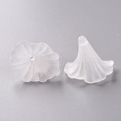 Transparent Acrylic Beads&nbsp;BSF796