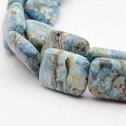 Natural Variscite Bead Strands&nbsp;G-P300-22-13x18mm