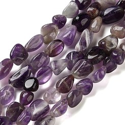 Natural Amethyst Beads Strands&nbsp;G-C268-A05-8x10mm