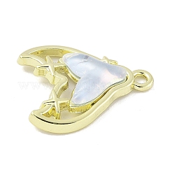 Zinc Alloy Pendants&nbsp;FIND-C067-01A-G