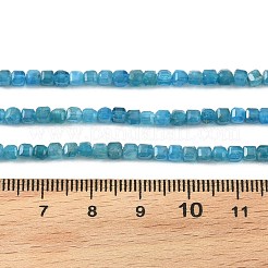 Natural Apatite Beads Strands&nbsp;G-K376-D05-3x3mm