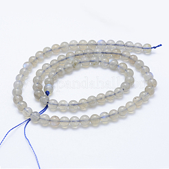 Natural Labradorite Beads Strands&nbsp;G-J373-14-4mm