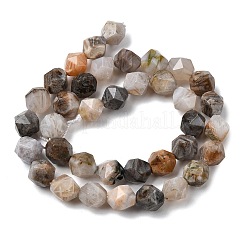 Natural Bamboo Leaf Agate Beads Strands&nbsp;G-Z119-A27-03