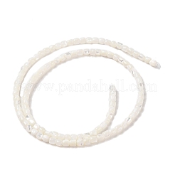 Natural Trochus Shell Beads Strands&nbsp;SHEL-P017-04