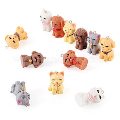 12Pcs 6 Styles Opaque Resin Pendants&nbsp;CRES-TA0001-50