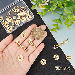 2 Sets 2 Styles 201 Stainless Steel Connector Charms&nbsp;STAS-UN0044-99