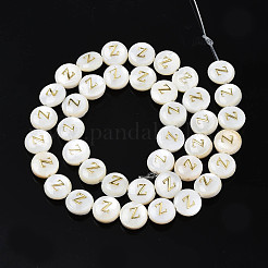 Natural Freshwater Shell Beads&nbsp;SHEL-S276-168Z