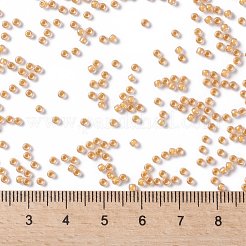 TOHO Round Seed Beads&nbsp;SEED-TR11-0984