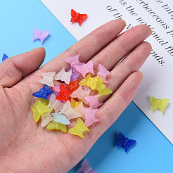 Transparent Acrylic Beads&nbsp;MACR-S373-09E