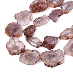 Natural Purple Phantom Quartz/Purple Lodolite Quartz Slice Beads Strands&nbsp;G-N362-11A-01