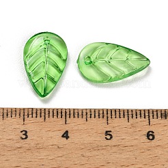 Transparent Acrylic Pendants&nbsp;AC-CBA5040-01G