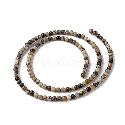 Natural Assorted Gemstone Bead Strands&nbsp;G-K146-M-3mm