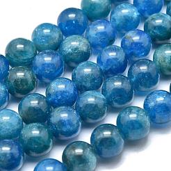 Natural Apatite Beads Strands&nbsp;G-O186-E02-8mm