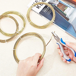 Brass Craft Wire&nbsp;CWIR-WH0007-01G-02
