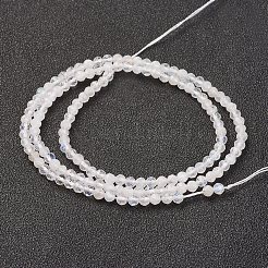Natural Rainbow Moonstone Bead Strand&nbsp;X-G-G680-53