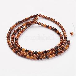 Natural Tiger Eye Bead Strand&nbsp;G-G680-48