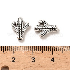 Tibetan Style Alloy Beads&nbsp;FIND-C043-024AS