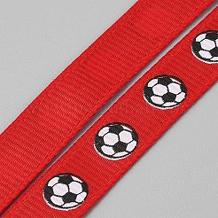 10 Yards Football Theme Polyester Printed Grosgrain Ribbon&nbsp;OCOR-WH0036-42C