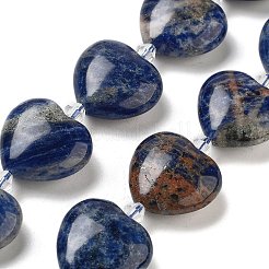 Natural Sodalite Beads Strands&nbsp;G-C150-A29-01