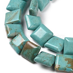 Natural Magnesite Beads Strands&nbsp;TURQ-K003-06A