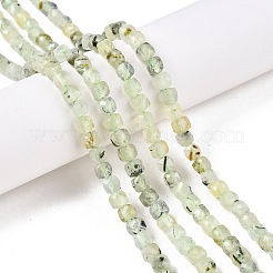 Natural Prehnite Beads Strands&nbsp;G-N342-124