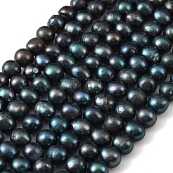 Dyed Natural Cultured Freshwater Pearl Beads Strands&nbsp;PEAR-L034-18A