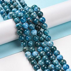 Natural Apatite Beads Strands&nbsp;G-S333-8mm-031A