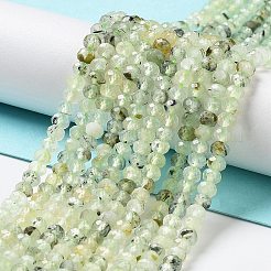 Natural Prehnite Beads Strands&nbsp;LS-G-J400-C05-02