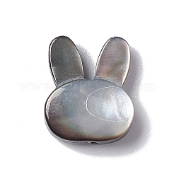 Natural Black Lip Shell Beads&nbsp;BSHE-C003-02A