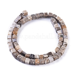 Natural Fossil Coral Beads Strands&nbsp;G-D0020-13A