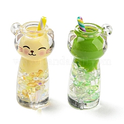 Transparent & Luminous Acrylic with Polymer Clay Pendants&nbsp;X-TACR-G046-01
