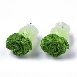 Resin Pendants&nbsp;X-RESI-R426-05A