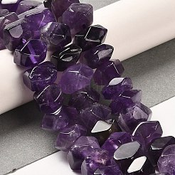 Natural Amethyst Beads Strands&nbsp;G-N327-05-18
