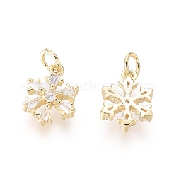 Brass Charms&nbsp;ZIRC-L087-045G
