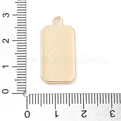 Tarot Alloy Enamel Pendants&nbsp;FIND-Z057-02G-02