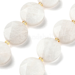 Natural Rainbow Moonstone Beads Strands&nbsp;G-C116-A168-03