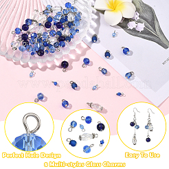120Pcs 8 Style Glass & Acrylic Pendants&nbsp;PALLOY-SW00079