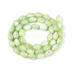 Natural Trochus Shell Beads Strands&nbsp;X-SHEL-K006-19-01C