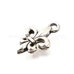Tibetan Style Alloy Pendants&nbsp;TIBE-L008-15AS
