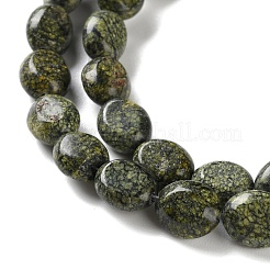Natural Serpentine/Green Lace Stone Beads Strands&nbsp;G-M420-D18-01