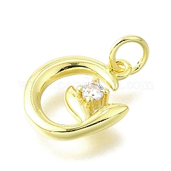 Brass Micro Pave Cubic Zirconia Pendants&nbsp;KK-V007-23G