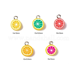 125Pcs 5 Style Handmade Polymer Clay Charms&nbsp;CLAY-LS0001-02