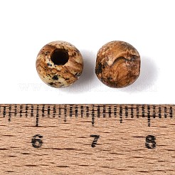 Natural Picture Jasper Beads&nbsp;G-Q602-08A-09