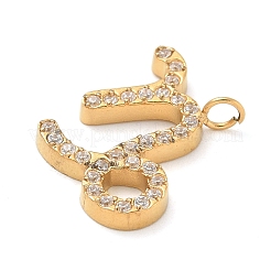 Ion Plating(IP) 304 Stainless Steel Micro Pave Cubic Zirconia Charms&nbsp;STAS-Z107-09G-12