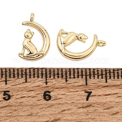 304 Stainless Steel Charms&nbsp;SA-CBA7611-01G
