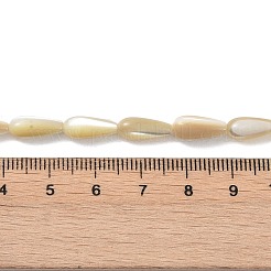 Natural Trochus Shell Beads&nbsp;PEAR-B002-01A-B